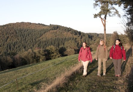 Wanderather - Wandelpad in de herfst, © Traumpfade/Kappest Wanderather - Wandelpad in de herfst, © Traumpfade/Kappest