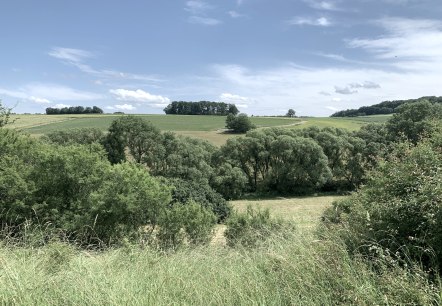 Grüne Felder und Bäume erstrecken sich unter einem blauen Himmel mit wenigen Wolken. Eine ruhige, ländliche Landschaft., © Benjamin Milbach Grüne Felder und Bäume erstrecken sich unter einem blauen Himmel mit wenigen Wolken. Eine ruhige, ländliche Landschaft., © Benjamin Milbach