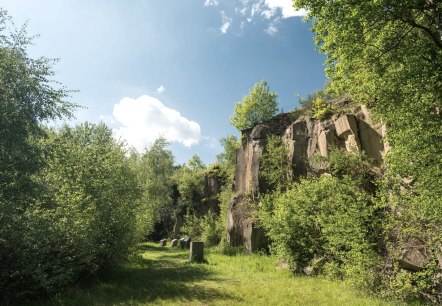 Mayener Grubenfeld vulkaanpark station, rotswand, © Rheinland-Pfalz Tourismus GmbH, D. Ketz Mayener Grubenfeld vulkaanpark station, rotswand, © Rheinland-Pfalz Tourismus GmbH, D. Ketz