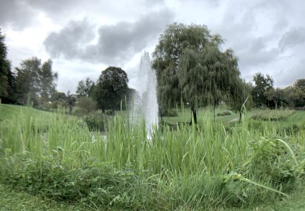 Kurpark Manderscheid Kurpark Manderscheid