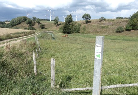 Westwall-Wanderweg bei Kesfeld, © Tourist-Information Islek Westwall-Wanderweg bei Kesfeld, © Tourist-Information Islek