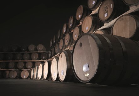 Weinberg, © Johannes Willwacher Weinberg, © Johannes Willwacher