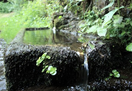 Maischquelle mit Überlauf, © GesundLand Vulkaneifel GmbH Maischquelle mit Überlauf, © GesundLand Vulkaneifel GmbH