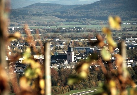Wittlich wijngaarden met uitzicht op St Markus, © Tourist Information Wittlich Stadt & Land Wittlich wijngaarden met uitzicht op St Markus, © Tourist Information Wittlich Stadt & Land
