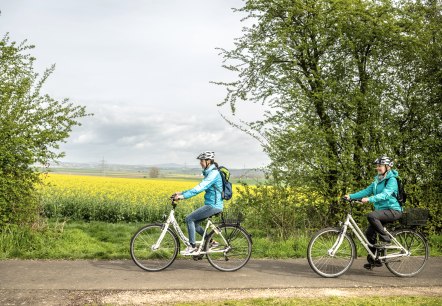 Le colza en fleurs accompagne les cyclistes sur la piste cyclable du Maifeld, © Eifel Tourismus GmbH, Dominik Ketz Le colza en fleurs accompagne les cyclistes sur la piste cyclable du Maifeld, © Eifel Tourismus GmbH, Dominik Ketz