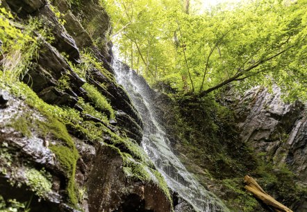 Der Klidinger Wasserfall, © Eifel Tourismus GmbH, AR - shapefruit AG Der Klidinger Wasserfall, © Eifel Tourismus GmbH, AR - shapefruit AG