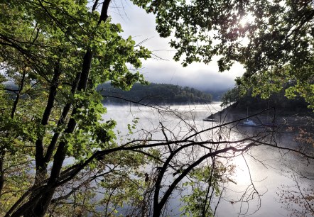 Ausblick auf den Rursee, © Rursee-Touristik GmbH, Sabine van Havere Ausblick auf den Rursee, © Rursee-Touristik GmbH, Sabine van Havere
