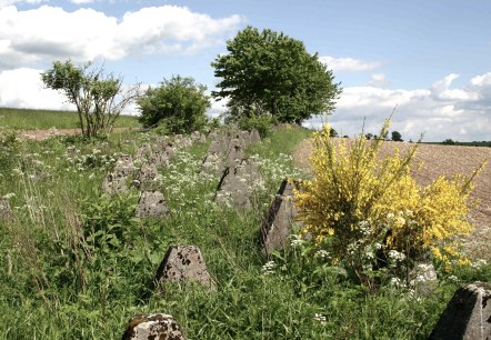 Höckerlinie bei Großkampenberg, © DLR Eifel Höckerlinie bei Großkampenberg, © DLR Eifel