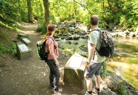 Rauscherpark, © Eifel Tourismus GmbH/Dominik Ketz Rauscherpark, © Eifel Tourismus GmbH/Dominik Ketz