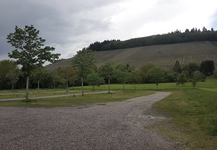 Uitzicht op de wijngaarden vanaf de camperplaats, © Tourist-Information Wittlich Stadt & Land Uitzicht op de wijngaarden vanaf de camperplaats, © Tourist-Information Wittlich Stadt & Land