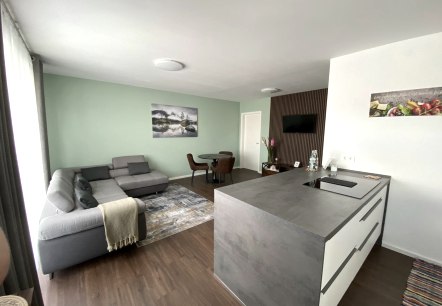 Wohnzimmer mit eingebauter Küche Wohnzimmer mit eingebauter Küche