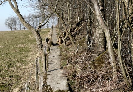 Waldpfad, © Monschau-Touristik Waldpfad, © Monschau-Touristik