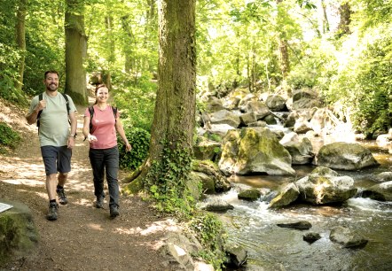 Wandern durch den Rauscherpark, © Eifel Tourismus GmbH/Dominik Ketz Wandern durch den Rauscherpark, © Eifel Tourismus GmbH/Dominik Ketz