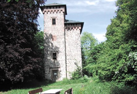 Arenberg Turm, © TI Hocheifel-Nürburgring, Alois Schneider Arenberg Turm, © TI Hocheifel-Nürburgring, Alois Schneider