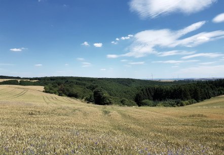 Wiesen und Felder rund um Reudelsterz, © Foto: Svenja Schulze-Entrup, Quelle: Touristik-Büro Vordereifel Wiesen und Felder rund um Reudelsterz, © Foto: Svenja Schulze-Entrup, Quelle: Touristik-Büro Vordereifel