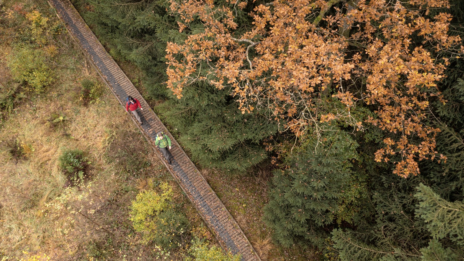 Wanderung auf dem Moore-Pfad, © Eifel Tourismus GmbH, Dominik Ketz Wanderung auf dem Moore-Pfad, © Eifel Tourismus GmbH, Dominik Ketz
