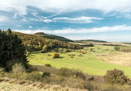 Dreiser Weiher on the Vulkangipfel-Pfad hiking trail, © Eifel Tourismus GmbH - D. Ketz Dreiser Weiher on the Vulkangipfel-Pfad hiking trail, © Eifel Tourismus GmbH - D. Ketz