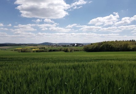 Blick auf Nachtsheim, © Foto: Svenja Schulze-Entrup, Quelle: Touristik-Büro Vordereifel Blick auf Nachtsheim, © Foto: Svenja Schulze-Entrup, Quelle: Touristik-Büro Vordereifel