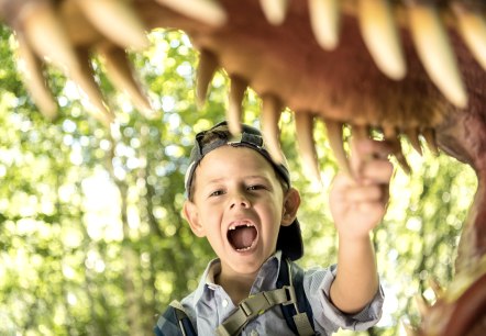 dinopark-teufelsschlucht-zaehne-dominik-ketz dinopark-teufelsschlucht-zaehne-dominik-ketz