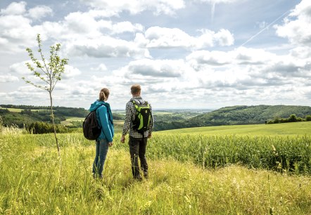 Wandern durch die hügelige Landschaft der Eifel, © Eifel Tourismus GmbH, Dominik Ketz Wandern durch die hügelige Landschaft der Eifel, © Eifel Tourismus GmbH, Dominik Ketz