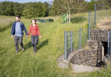 The hike on the Lieser Trail starts at the source of the Lieser, © Eifel Tourismus GmbH, AR-shapefruit AG The hike on the Lieser Trail starts at the source of the Lieser, © Eifel Tourismus GmbH, AR-shapefruit AG