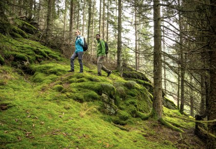 Unterwegs auf dem Wildnis-Trail, © Eifel Tourismus, Dominik Ketz Unterwegs auf dem Wildnis-Trail, © Eifel Tourismus, Dominik Ketz