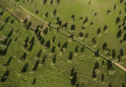 Luchtfoto van de Struffeltse Heide op de Eifelsteig, © Eifel Tourismus GmbH, D. Ketz Luchtfoto van de Struffeltse Heide op de Eifelsteig, © Eifel Tourismus GmbH, D. Ketz