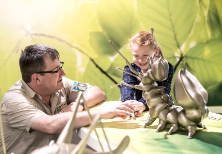 Ausstellung Wildnis(t)räume mit Kindern besuchen, © Nationalpark Eifel, D. Ketz Ausstellung Wildnis(t)räume mit Kindern besuchen, © Nationalpark Eifel, D. Ketz