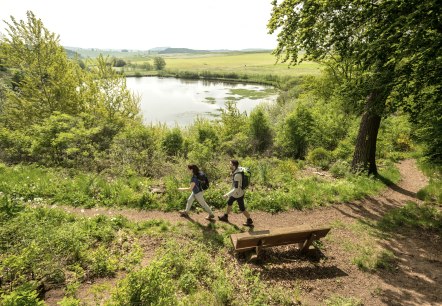 Wandern Eichholzmaar, © Eifel Tourismus GmbH, Dominik Ketz Wandern Eichholzmaar, © Eifel Tourismus GmbH, Dominik Ketz