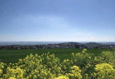 Blick auf Ettringen vom Hochsimmer, © Foto: Svenja Schule-Entrup, Quelle: Touristik-Büro Vordereifel Blick auf Ettringen vom Hochsimmer, © Foto: Svenja Schule-Entrup, Quelle: Touristik-Büro Vordereifel