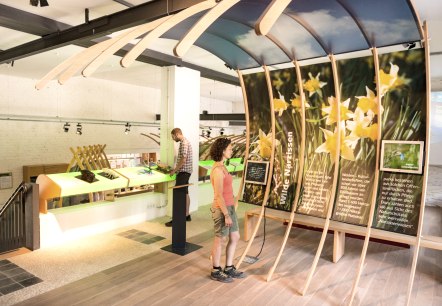 Nationalpark-Tore: Narzissenausstellung Höfen, © Eifel Tourismus GmbH/D. Ketz Nationalpark-Tore: Narzissenausstellung Höfen, © Eifel Tourismus GmbH/D. Ketz