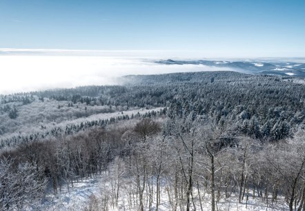 Ausblick von der Hohen Acht, © Rheinland-Pfalz Tourismus GmbH, D. Ketz Ausblick von der Hohen Acht, © Rheinland-Pfalz Tourismus GmbH, D. Ketz
