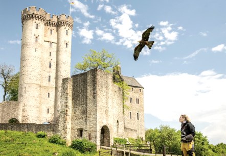 Adler & Wolfspark Kasselburg, Pelm, © Eifel Tourismus GmbH, Dominik Ketz Adler & Wolfspark Kasselburg, Pelm, © Eifel Tourismus GmbH, Dominik Ketz