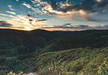 Natur pur, © Foto: Laura Rinneburger, Quelle: Touristik-Büro Vordereifel Natur pur, © Foto: Laura Rinneburger, Quelle: Touristik-Büro Vordereifel
