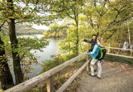 Wildnis-Trail Etappe 2 - Obersee, © Eifel Tourismus GmbH, Dominik Ketz Wildnis-Trail Etappe 2 - Obersee, © Eifel Tourismus GmbH, Dominik Ketz