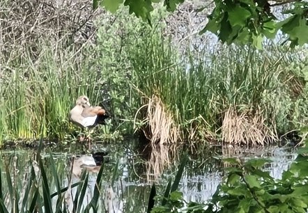 Vogelparadies Vogelparadies