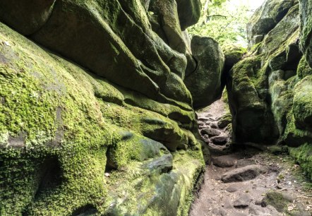 Felsen bei der Teufelsschlucht, Felsenweg 6, © Rheinland-Pfalz Tourismus GmbH/D. Ketz Felsen bei der Teufelsschlucht, Felsenweg 6, © Rheinland-Pfalz Tourismus GmbH/D. Ketz