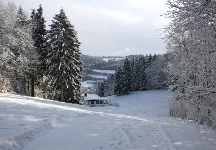 Blick Skipiste Wolfsschlucht (oberer Teil), © Tourist-Information Prümer Land (Archivfoto) Blick Skipiste Wolfsschlucht (oberer Teil), © Tourist-Information Prümer Land (Archivfoto)