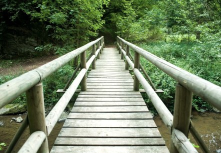 Brücke am Lieserpfad in der Eifel, © GesundLand Vulkaneifel / D. Ketz Brücke am Lieserpfad in der Eifel, © GesundLand Vulkaneifel / D. Ketz