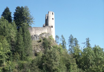 Burgruine Schönecken, © Naturpark Nordeifel Geschäftsstelle Prüm Burgruine Schönecken, © Naturpark Nordeifel Geschäftsstelle Prüm