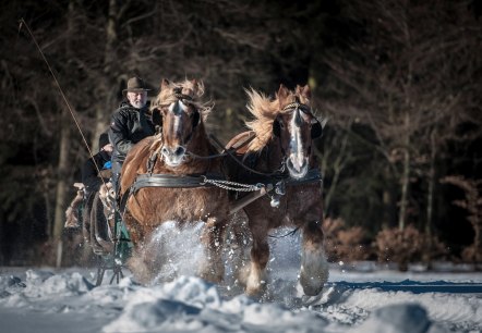 Bauershof, © Akim-Tierfotografie Bauershof, © Akim-Tierfotografie
