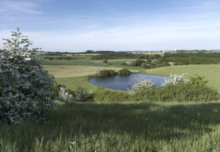 Trautzberger Maar, © Natur- und Geopark Vulkaneifel Trautzberger Maar, © Natur- und Geopark Vulkaneifel