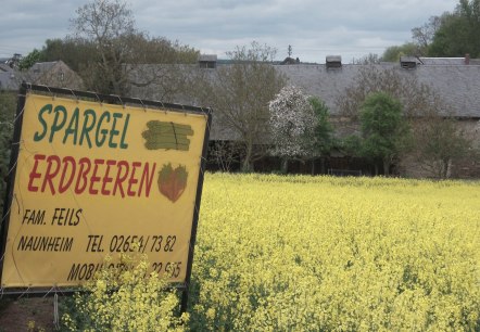 Bord voor tuinverkoop, © VG Maifeld Bord voor tuinverkoop, © VG Maifeld