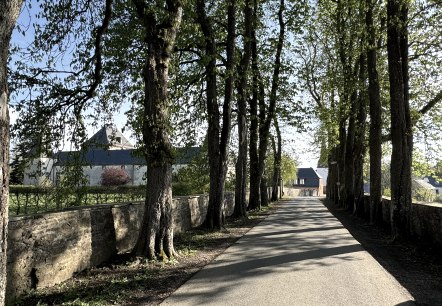 Hubertusstraße, © Nordeifel Tourismus GmbH & L´Extravagante Hubertusstraße, © Nordeifel Tourismus GmbH & L´Extravagante