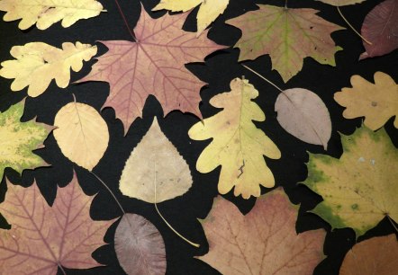 Herbst Herbst