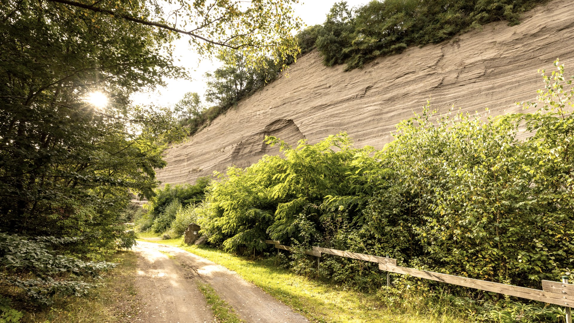 Wingertsbergwand, © shapefruit AG Wingertsbergwand, © shapefruit AG