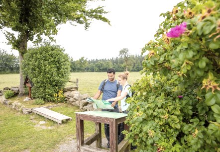 Eifel-Blick Steling, © Eifel Tourismus GmbH, AR-shapefruit AG Eifel-Blick Steling, © Eifel Tourismus GmbH, AR-shapefruit AG