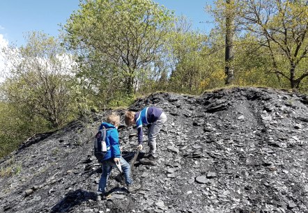 Erkunden der Schieferhalde, © Foto: Svenja Schulze-Entrup, Quelle: Touristik-Büro Vordereifel Erkunden der Schieferhalde, © Foto: Svenja Schulze-Entrup, Quelle: Touristik-Büro Vordereifel