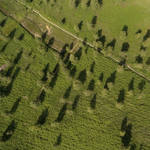 Luftansicht der Struffelt Heide am Eifelsteig, © Eifel Tourismus GmbH, D. Ketz