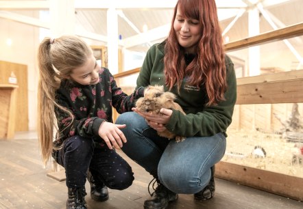 Tiere streicheln im Wild- und Erlebnispark Daun, © Eifel Tourismus GmbH, D. Ketz Tiere streicheln im Wild- und Erlebnispark Daun, © Eifel Tourismus GmbH, D. Ketz
